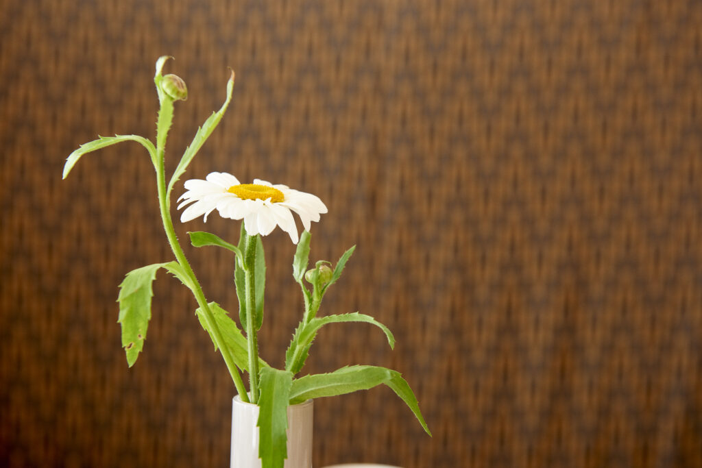 Designelemente in der Singerstrasse 21/25 - Blumen